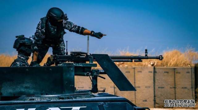 美国提供大量装备,库尔德变态页游武装炫耀一新开页游私服,战力不容小觑