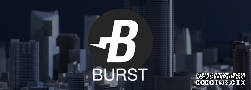 风口上的POC:深度拆解Burst、BHD、Lamb、GN、Boom,谁才是POC界的黑马?