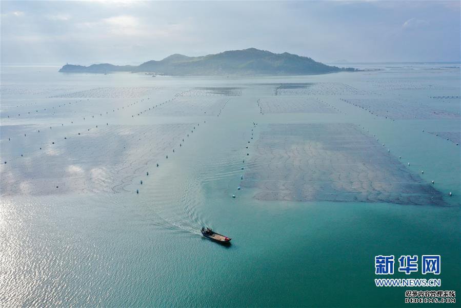 (美丽中国)(5)福建东山:光影海上牧场