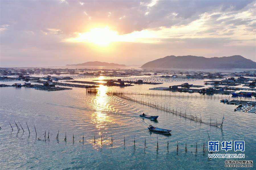 (美丽中国)(6)福建东山:光影海上牧场