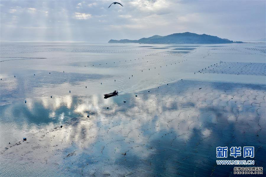 (美丽中国)(4)福建东山:光影海上牧场