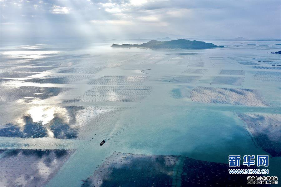 (美丽中国)(1)福建东山:光影海上牧场