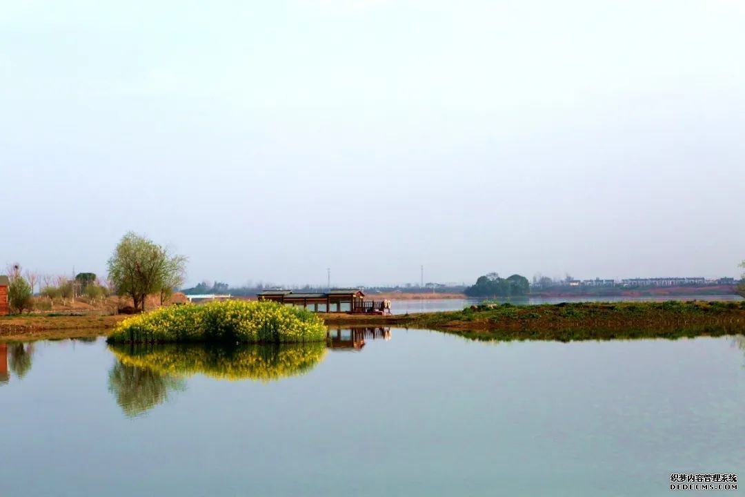 寂静金湖 鸟儿天堂