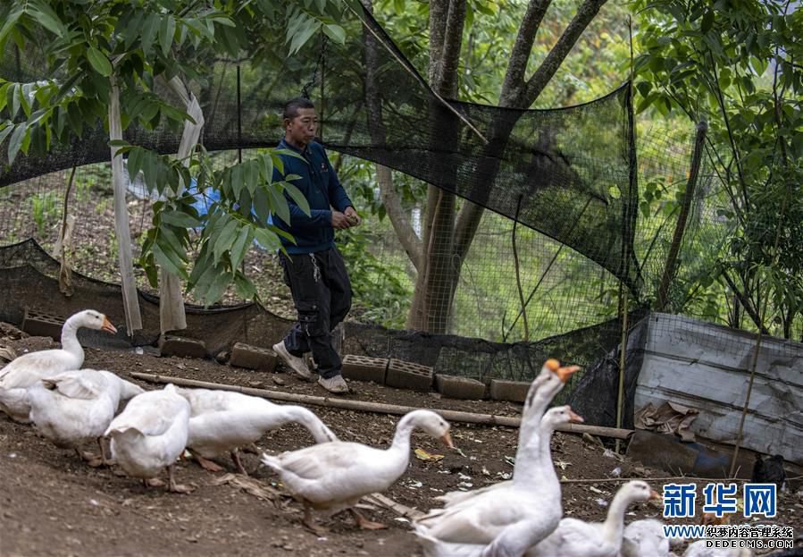 (新华全媒头条·两会精神看落实·图文互动)(8)培育新机 开辟新局——落实全国两会精神激发经济发展新动能述评