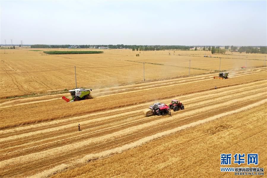 (新华全媒头条·两会精神看落实·图文互动)(6)培育新机 开辟新局——落实全国两会精神激发经济发展新动能述评