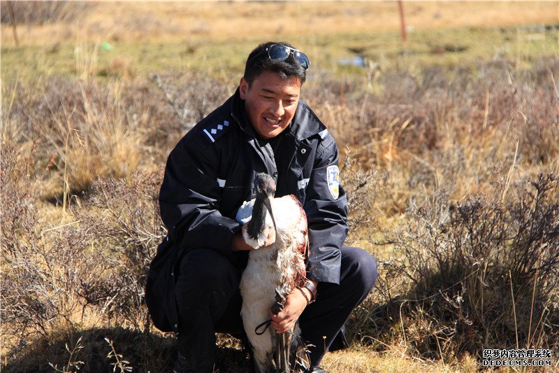 追忆抗疫英雄阿真能周:坚守高原林区 连续43天奋战防疫一线