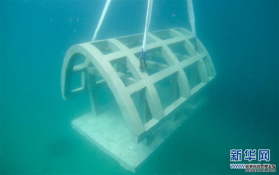 海南三亚:中国首个热带海洋牧场雏形初现