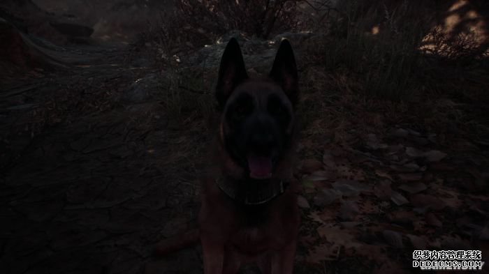 《布莱尔女巫》评三国类页游测8.0分 一人一狗的黑山林探险