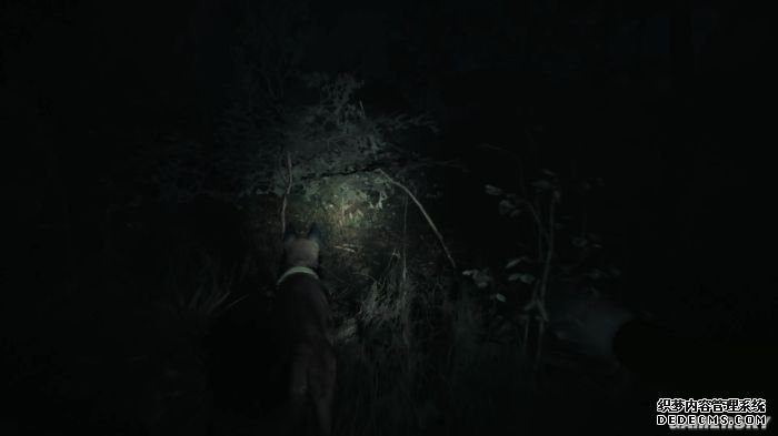 《布莱尔女巫》评三国类页游测8.0分 一人一狗的黑山林探险