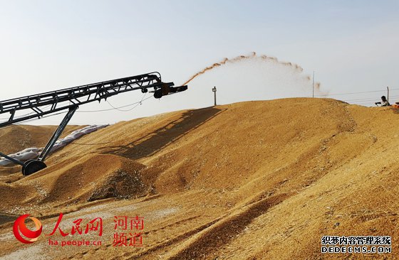 让"中国碗"多盛"河南粮"
8600万亩小麦颗粒归仓,今年又是一个丰收年!近年来,河南粮食连年丰收,总产量稳定在1300亿斤左右。全国1/10的粮食、超过1/4的小麦均产自这里,“粮仓”实至名归。……【详细】