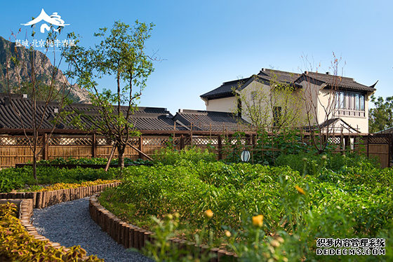 蓝城数亿级配套造出北桃这座“天堂” 只为等你遇见理想生活