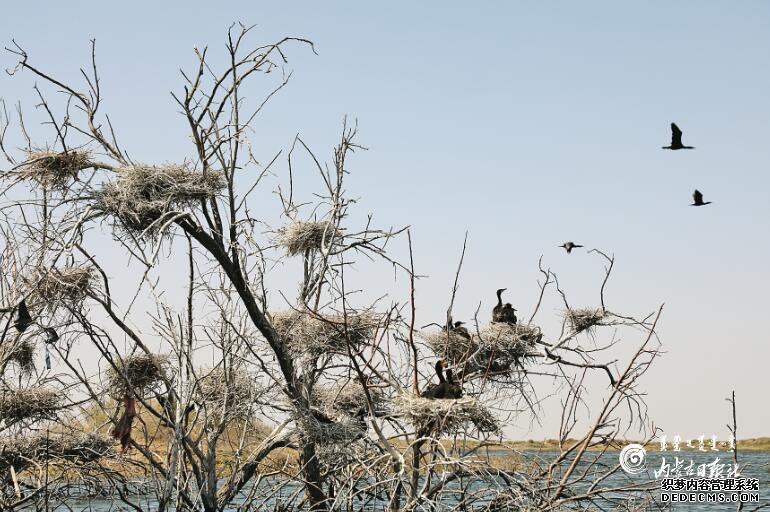 10������ġ����á�