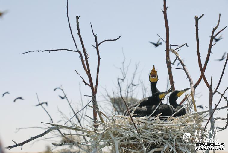 10������ġ����á�