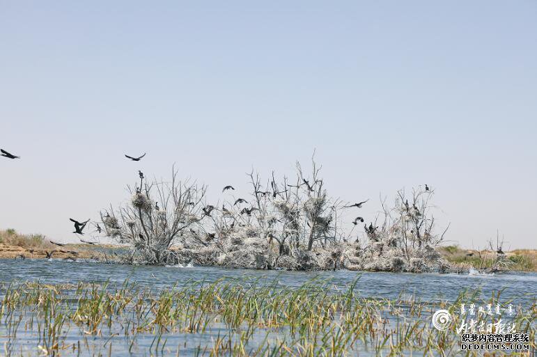 10������ġ����á�