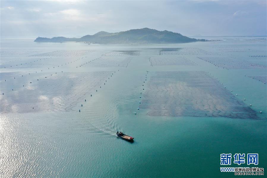 福建东山:光影海上牧场