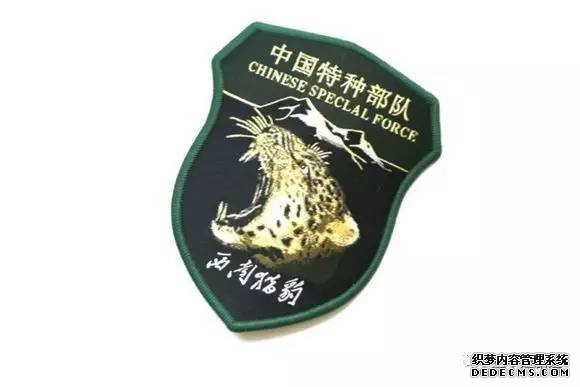 世界十大顶级新开页游私服,这些才是兵王!