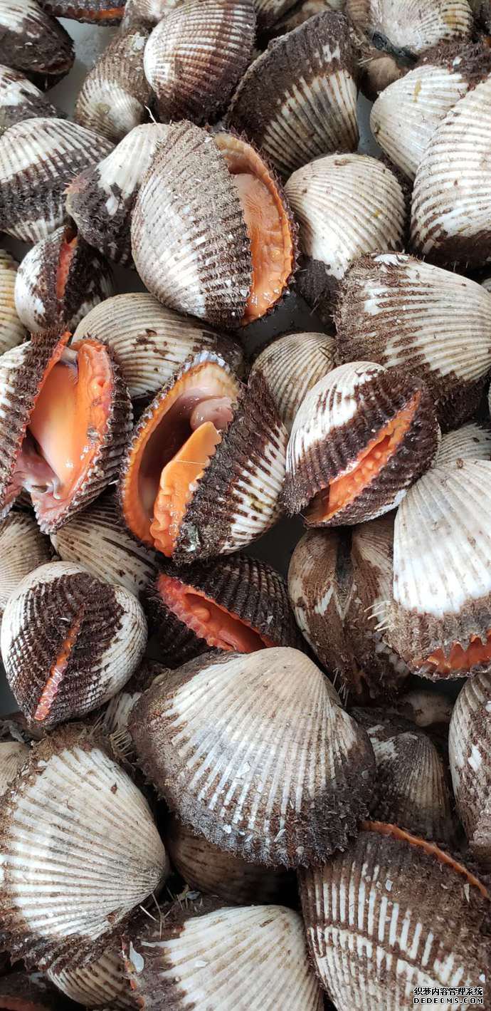 牧场+旅游 正海海洋牧场实现经济、生态和社会效益叠加