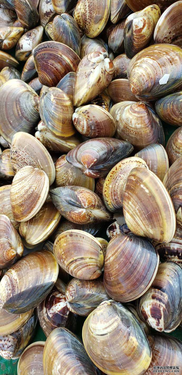 牧场+旅游 正海海洋牧场实现经济、生态和社会效益叠加