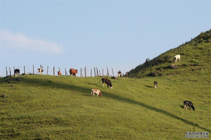 ����ᣩ��5����ɽ���� ��ţ��Ȼ