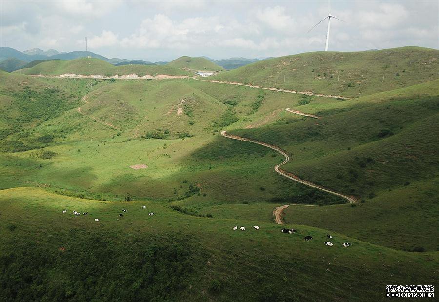 ����ᣩ��2����ɽ���� ��ţ��Ȼ