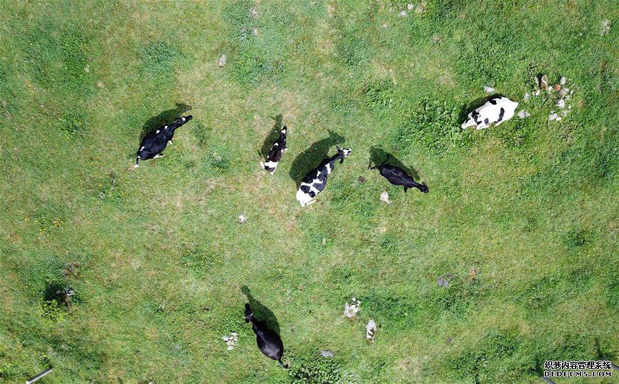 ����ᣩ��3����ɽ���� ��ţ��Ȼ