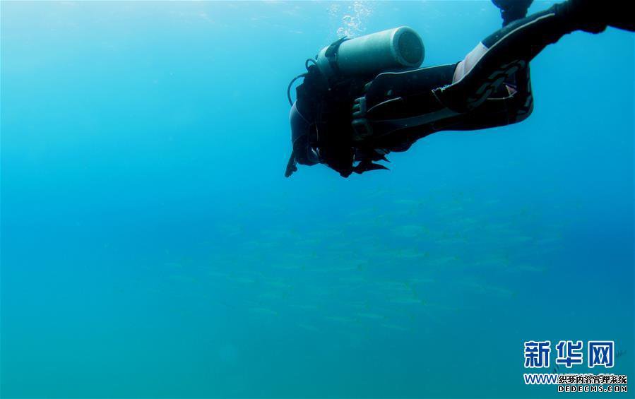 ���»��ӽ磩��9���������ǣ�������������æ