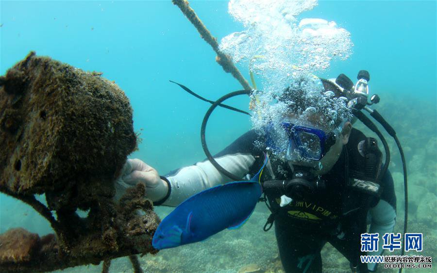 ���»��ӽ磩��6���������ǣ�������������æ