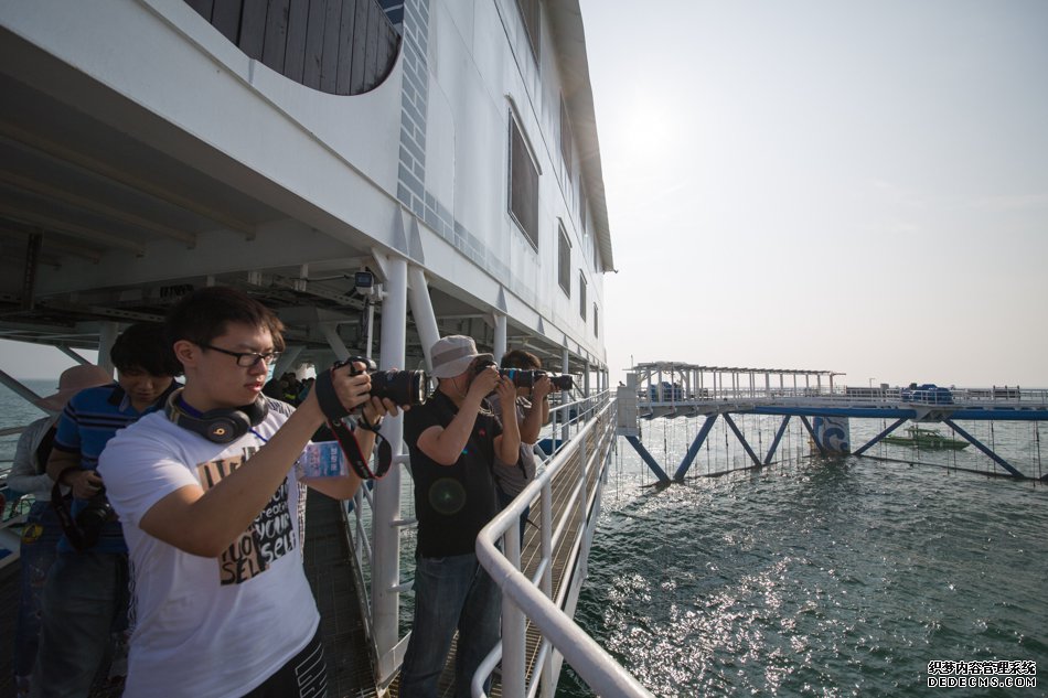 【我爱这片蓝色的国土】渤海深处“造田”4人1年养鱼千吨!这座海