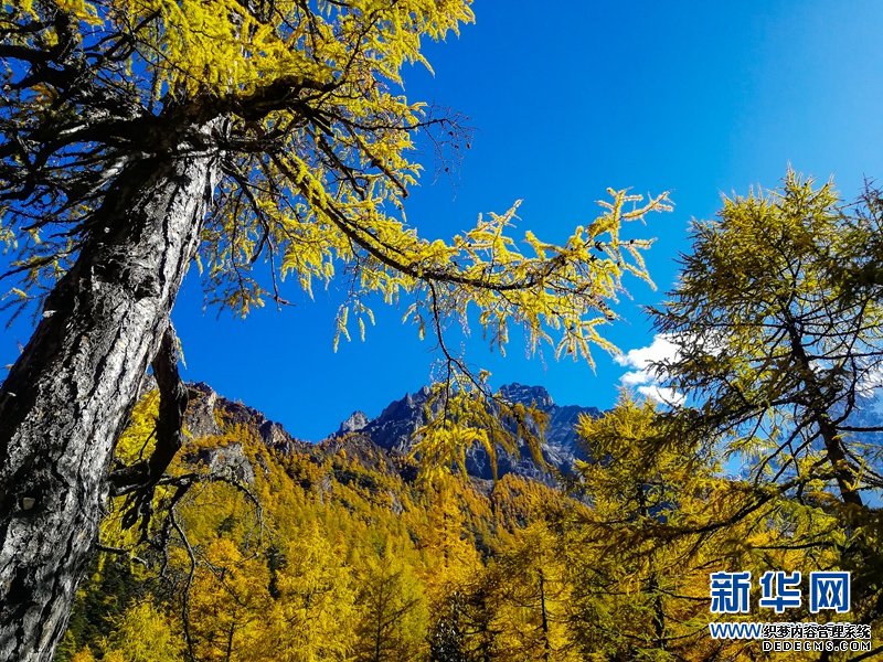 新华社记者重走川藏线|摄影天堂稻城亚丁