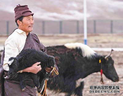 �����ʣ���ҳ��ϷGM��������ţ��С��