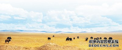 �����ʣ���ҳ��ϷGM��������ţ��С��