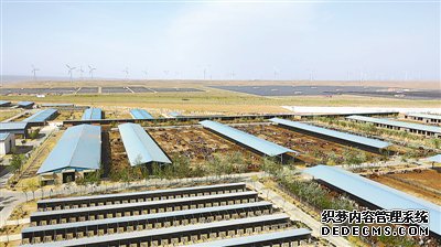 荒滩上崛起万亩田园牧场