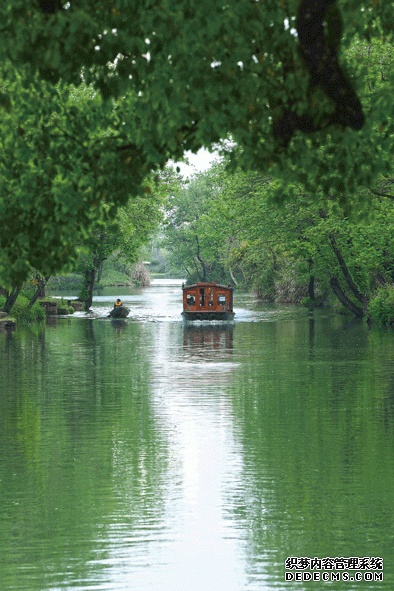 “天堂绿肺”养成记