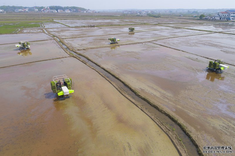 “育种天堂公益网页游戏页游”里的春天奏鸣曲