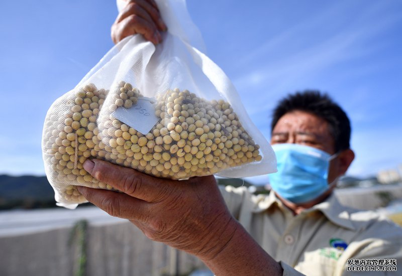 “育种天堂公益网页游戏页游”里的春天奏鸣曲