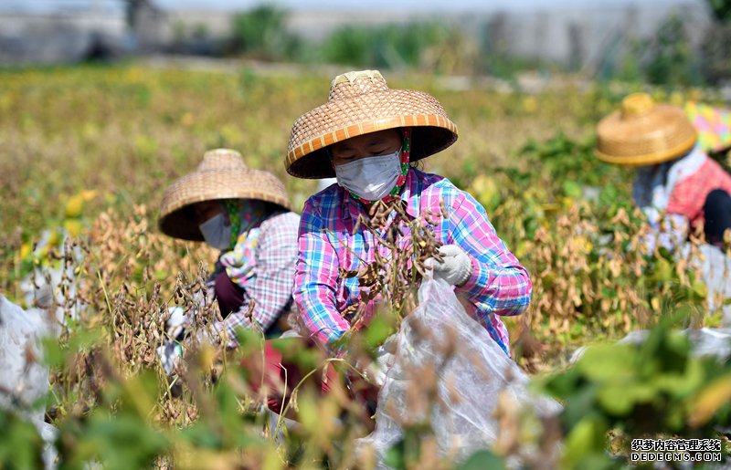 “育种天堂公益网页游戏页游”里的春天奏鸣曲