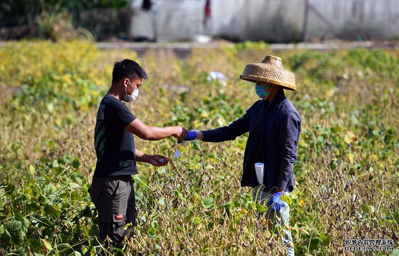 “育种天堂公益网页游戏页游”里的春天奏鸣曲