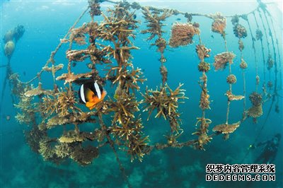 三亚市旅游和文化广电体育局