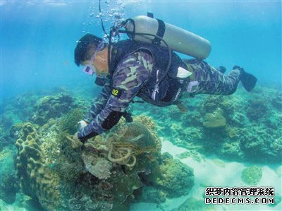 三亚市旅游和文化广电体育局