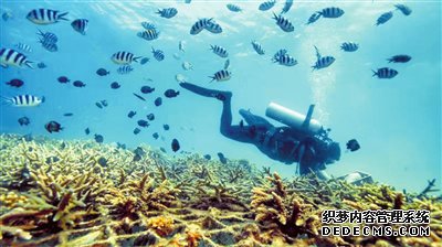 三亚市旅游和文化广电体育局