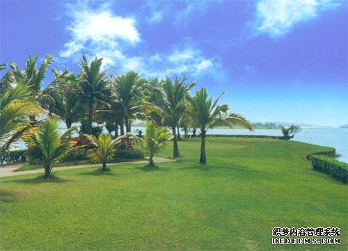 宽阔的球道 宽阔的球道