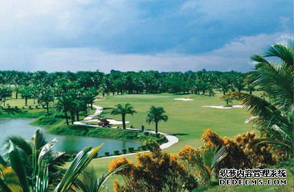 南丽湖远景 南丽湖远景