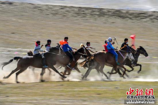 新疆福海春秋页游私服排行榜牧场上的速度赛马大赛
