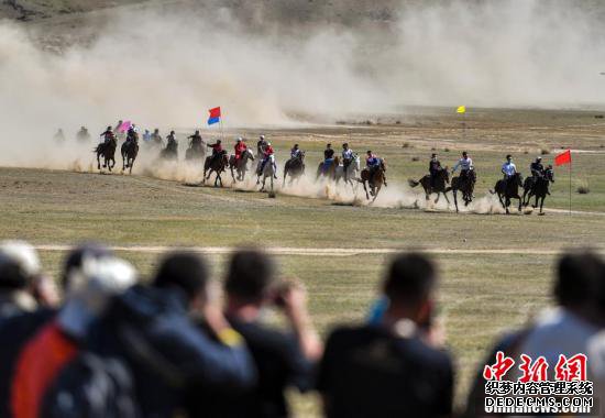 新疆福海春秋页游私服排行榜牧场上的速度赛马大赛