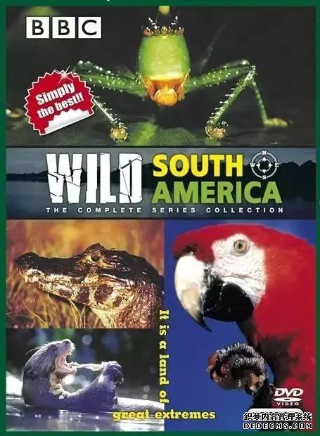 �Ƽ�14����Ȼ������¼Ƭ �˽��ߴ���ȫò