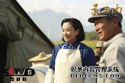 《三国页游》《灵与肉》后再登巅峰 田玲被誉“黄金配角”