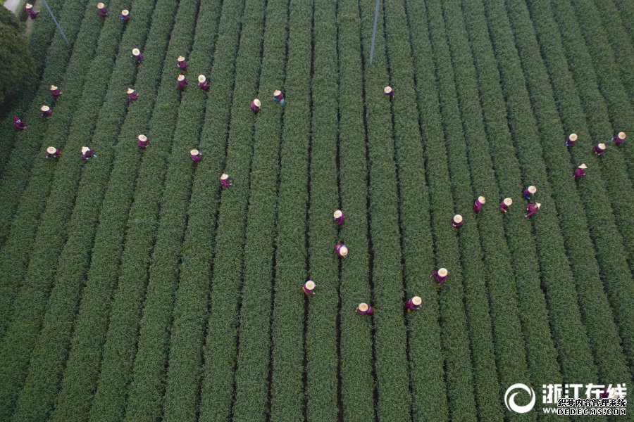 耐玩的网页游戏:原罪2 视频攻略 上手剧情流程解说视频