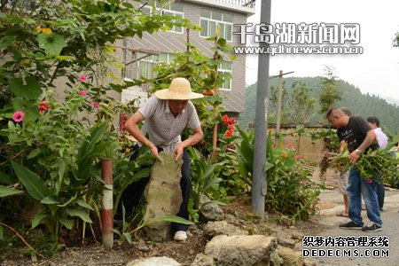 乡镇在线 『千岛湖新闻网』