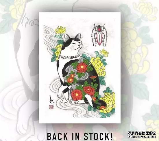 ��һ������ʦ��һ����������èū ������ô��