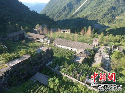 图为植被恢复的大窝社区。 大窝社区供图 图为植被恢复的大窝社区。 大窝社区供图